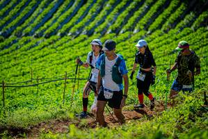 BIB: 1232
                            <button type="button" onclick="openModal(19161519)" class="btn btn-primary btn-sm float-right btn-popup" data-toggle="modal" data-target=".modal-high-quality">
                        <i class="fas fa-shopping-cart"></i> Add to Cart
                    </button>
                                            <button type="button" onclick="isThisMe(19161519, true)" class="btn btn-success btn-sm float-right btn-popup btn-isme hidden" data-toggle="tooltip" data-placement="bottom" title="นี่คือรูปของคุณใช่ไหม คลิกที่นี่เพื่อเอาเข้าอัลบั้ม">
                        <i class="fas fa-plus"></i> Add to album
                    </button>
                    <button type="button" onclick="isThisMe(19161519, false)" class="btn btn-warning btn-sm float-right btn-popup btn-isnotme hidden">
                        <i class="fas fa-ban"></i> Remove from album
                    </button>